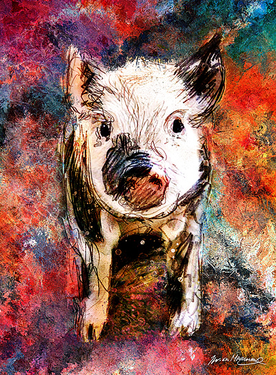 Petit cochon