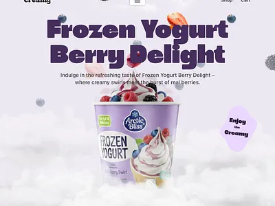 E-commerce Website Ui