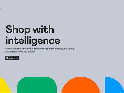 Leveller. Smart Shopping branding design logo prototype ui ui ux webdesign website