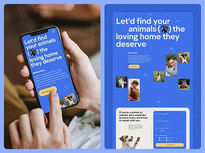 Website for Trident Rescue product design ui ux web webdesign website