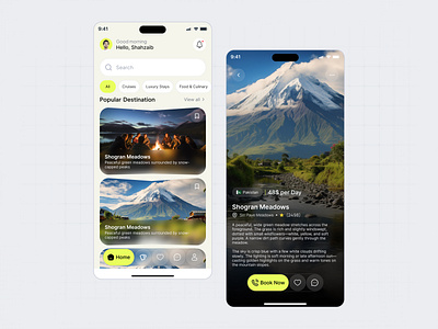 TripNest – Travel Destination & Booking UI booking screen design
