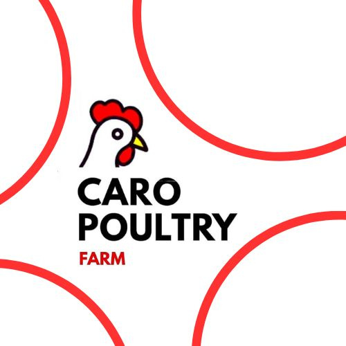 Caro Poultry Farm