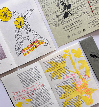 Grieta Fértil Oaxaca editorial design graphic design illustration