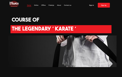 Health Web ( Karate Staunch ) 3d animation app branding design graphic design logo motion graphics ui web