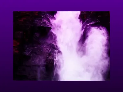 Animation Web Concept 🔮 animation branding design graphic design illustration logo motion graphics typography ui ux webdesign