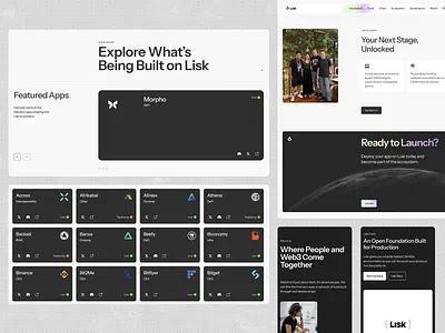Lisk website pt.04 art direction binance black and white bold business crypto design minimalistic mobile presentation ui user interface ux visual design web web3 website website design