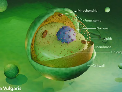 Some 3d models for use in Graphical abstract(s) 3d cover art graphic design scientific art