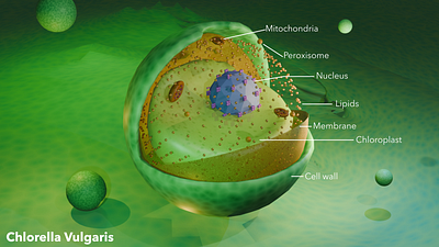 Some 3d models for use in Graphical abstract(s) 3d cover art graphic design scientific art