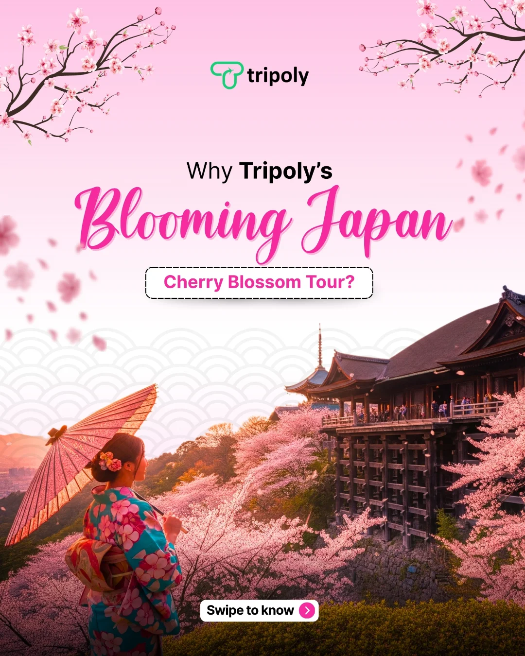 Blooming Japan carousal post branding design graphic design illustration marketing vector visual