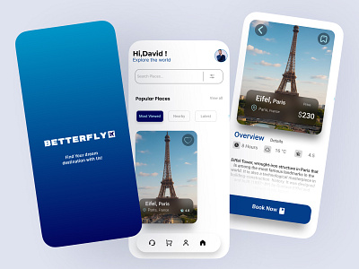 BETTERFLY branding ui