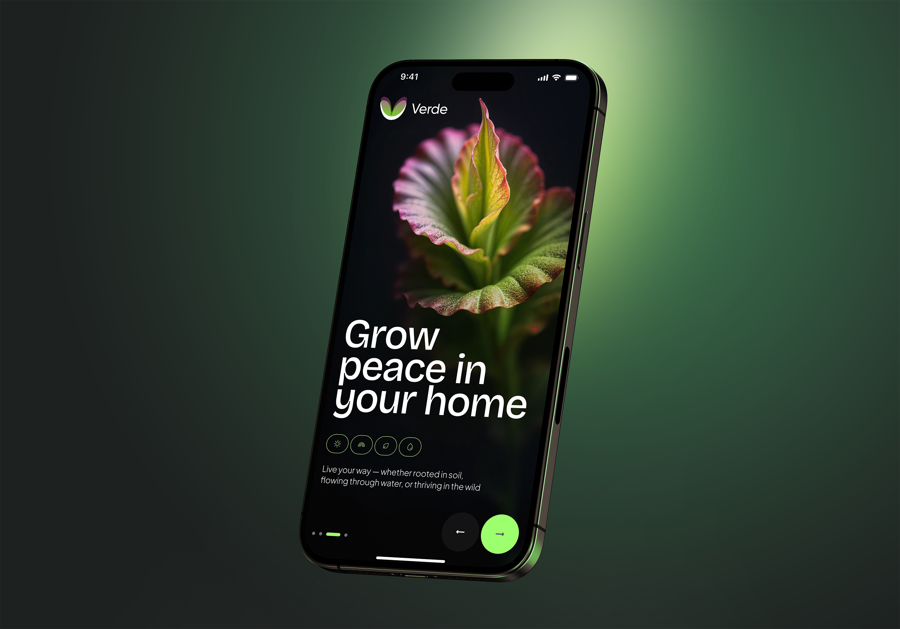 Plant Store dark ui e commerce indoor plants ios mobile plant store web app