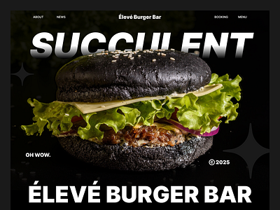 Bruger Bar Website Landing Page Design web design