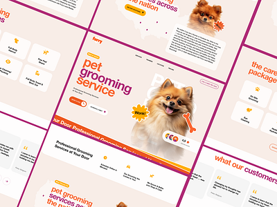 Pet Grooming Service 3d animation branding design figma graphic design illustration logo motion graphics typography ui ux vector