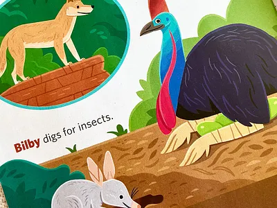 Animals of Australia app branding design graphic design illustration logo typography ui ux vector