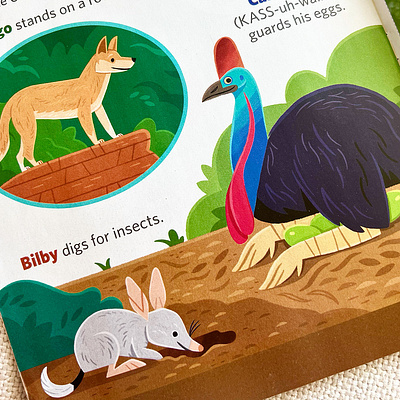 Animals of Australia app branding design graphic design illustration logo typography ui ux vector