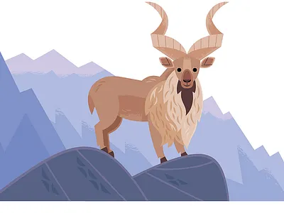 Markhor app branding design graphic design illustration logo typography ui ux vector
