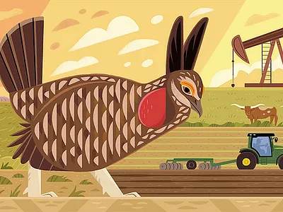 Lesser Prairie Chicken app branding design graphic design illustration logo typography ui ux vector