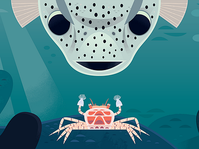 Boxer Crab app branding design graphic design illustration logo typography ui ux vector