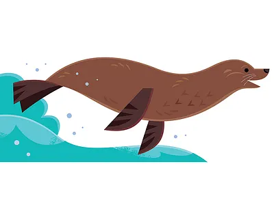 Galapagos Sea Lion app branding design graphic design illustration logo typography ui ux vector