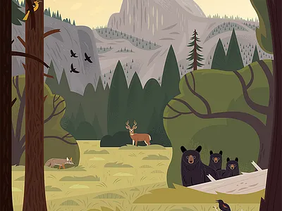 Yosemite Valley app branding design graphic design illustration logo typography ui ux vector