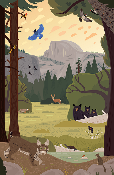 Yosemite Valley app branding design graphic design illustration logo typography ui ux vector