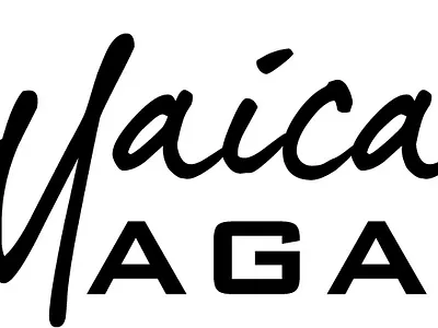 Logotype (monochrome) adobe illustrator branding logo logo design