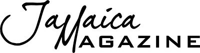 Logotype (monochrome) adobe illustrator branding logo logo design