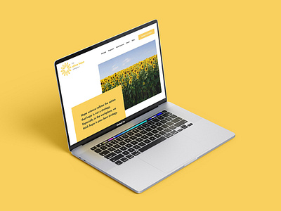 Web Experience and Digital Presence branding graphic design logo motion graphics ui ux web design website desogn website development
