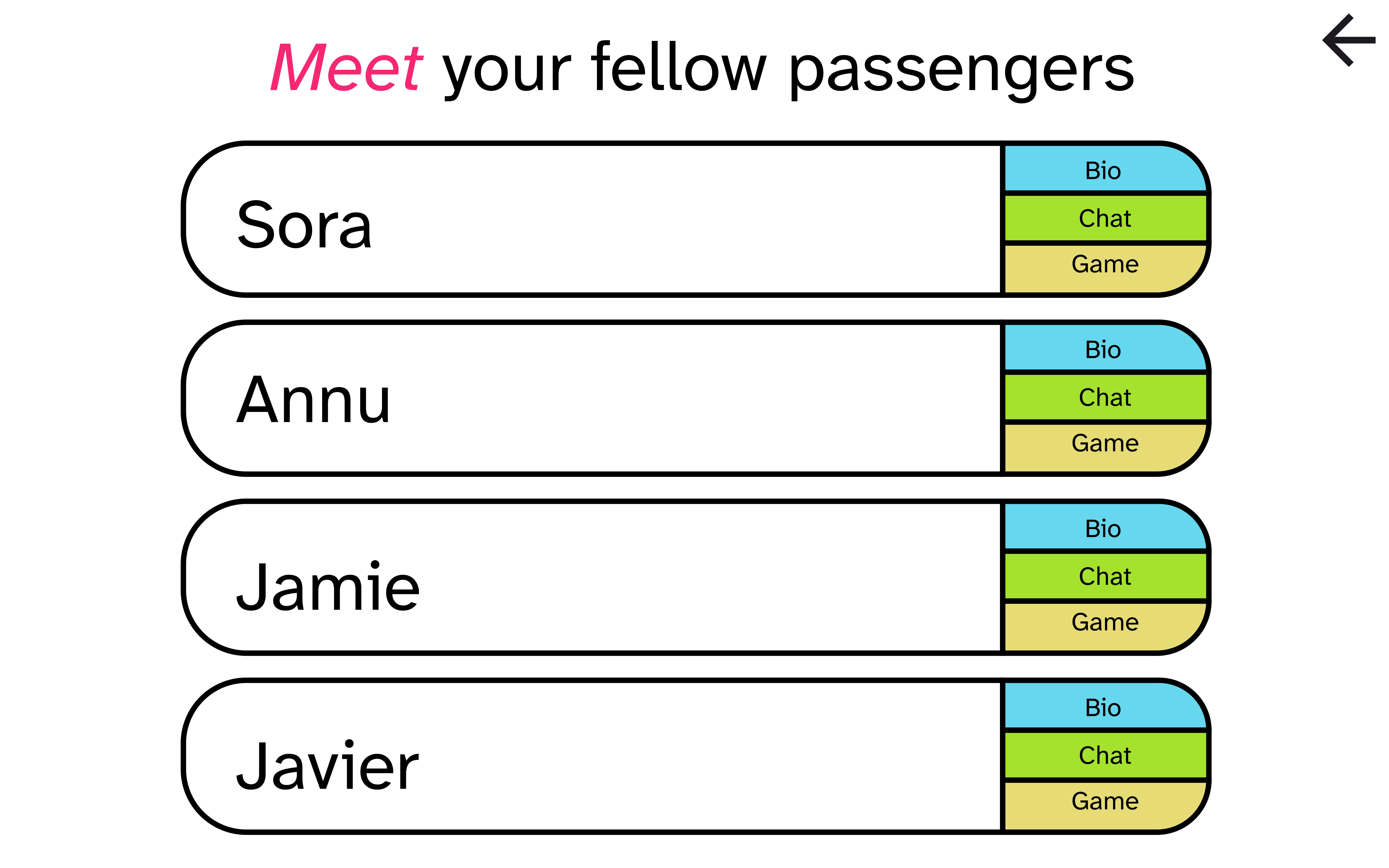 In Flight Entertainment Screen