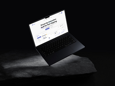 UI Wiki - Shipping Platform UI Design clean data visualization design