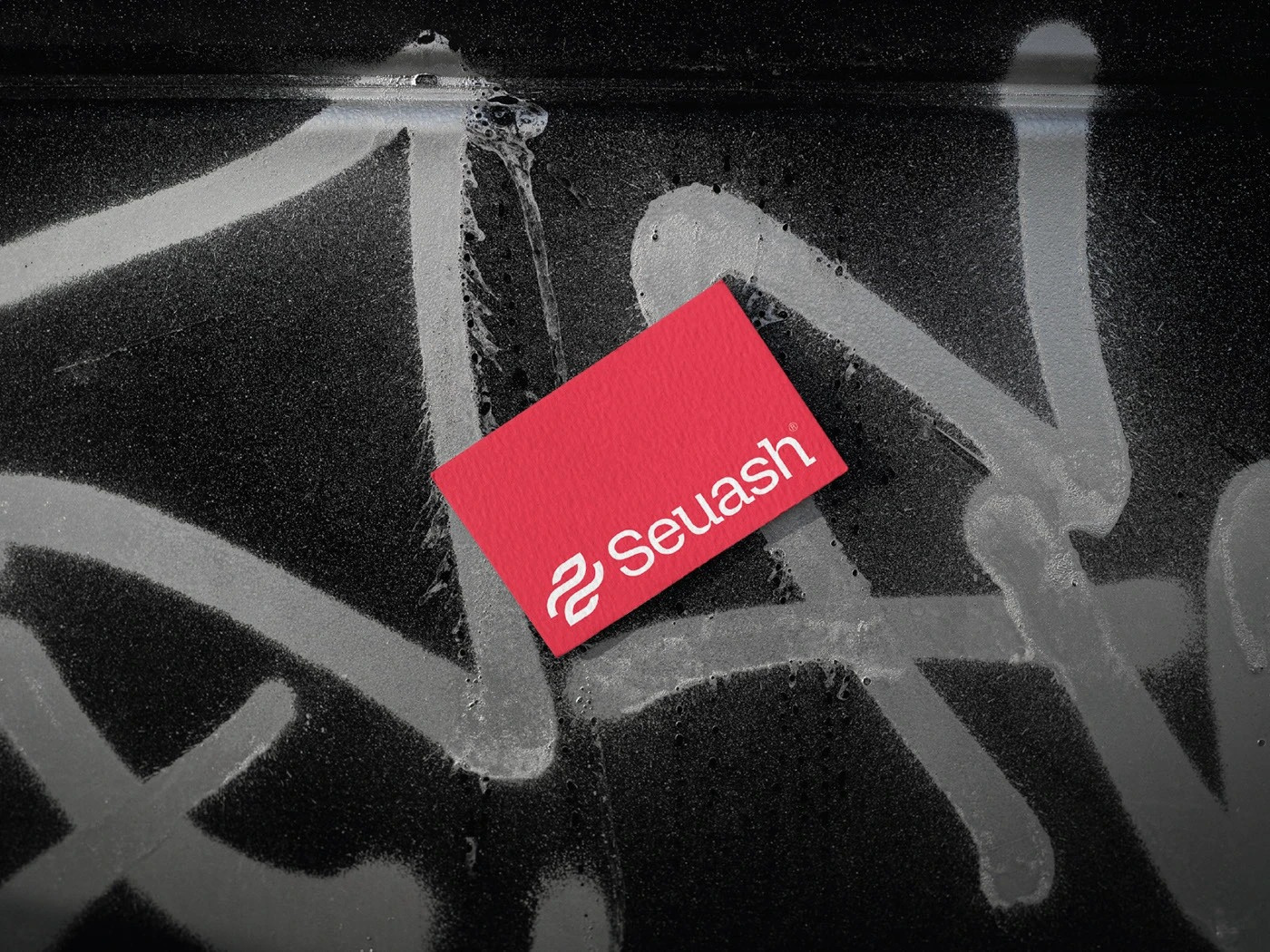 Seuash® Brand Identity 3d animation branding design download free freebie graphic design illustration logo mockup mockup cloud mockupcloud motion graphics ui