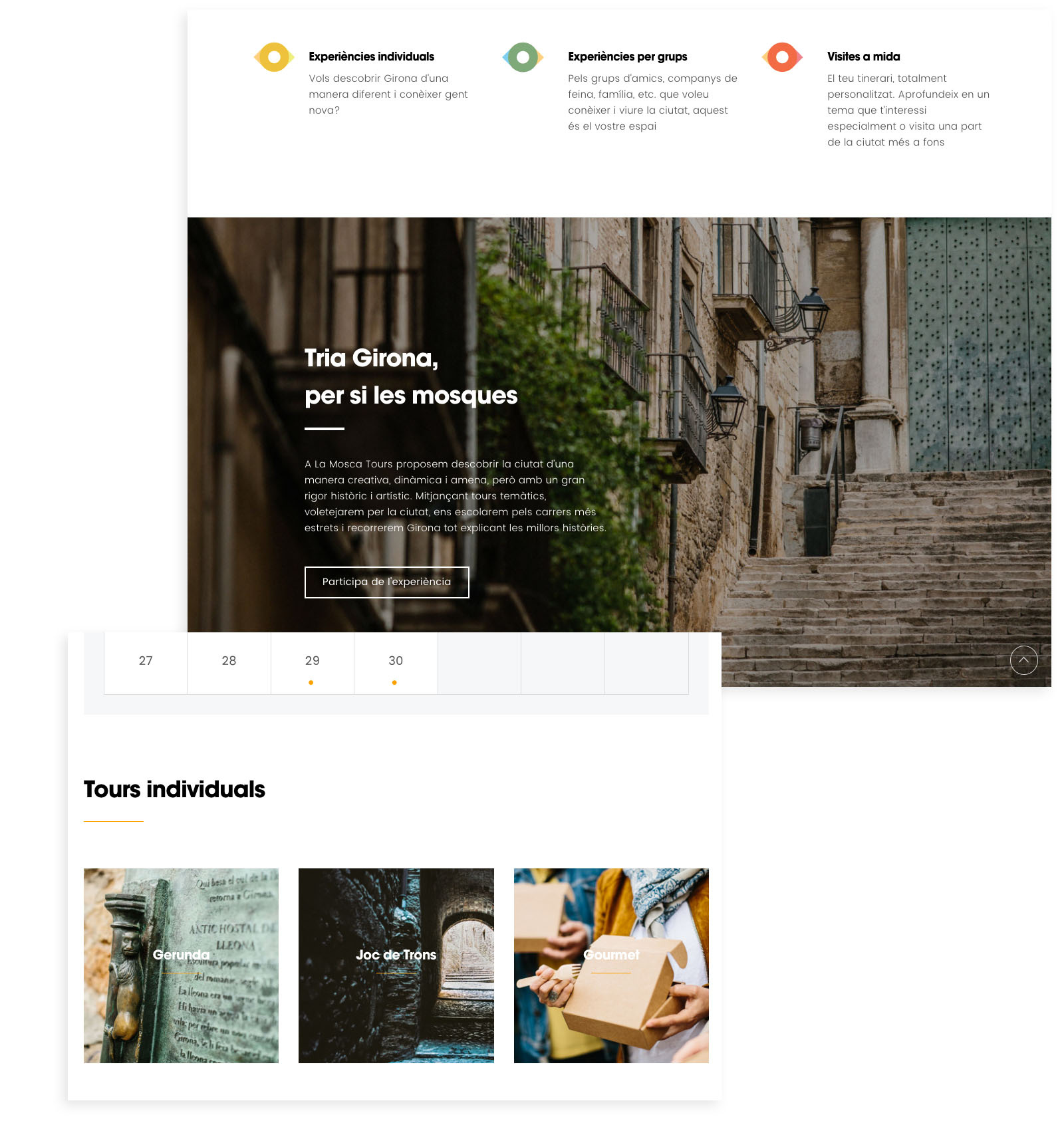 La mosca tours branding ui ui design web design