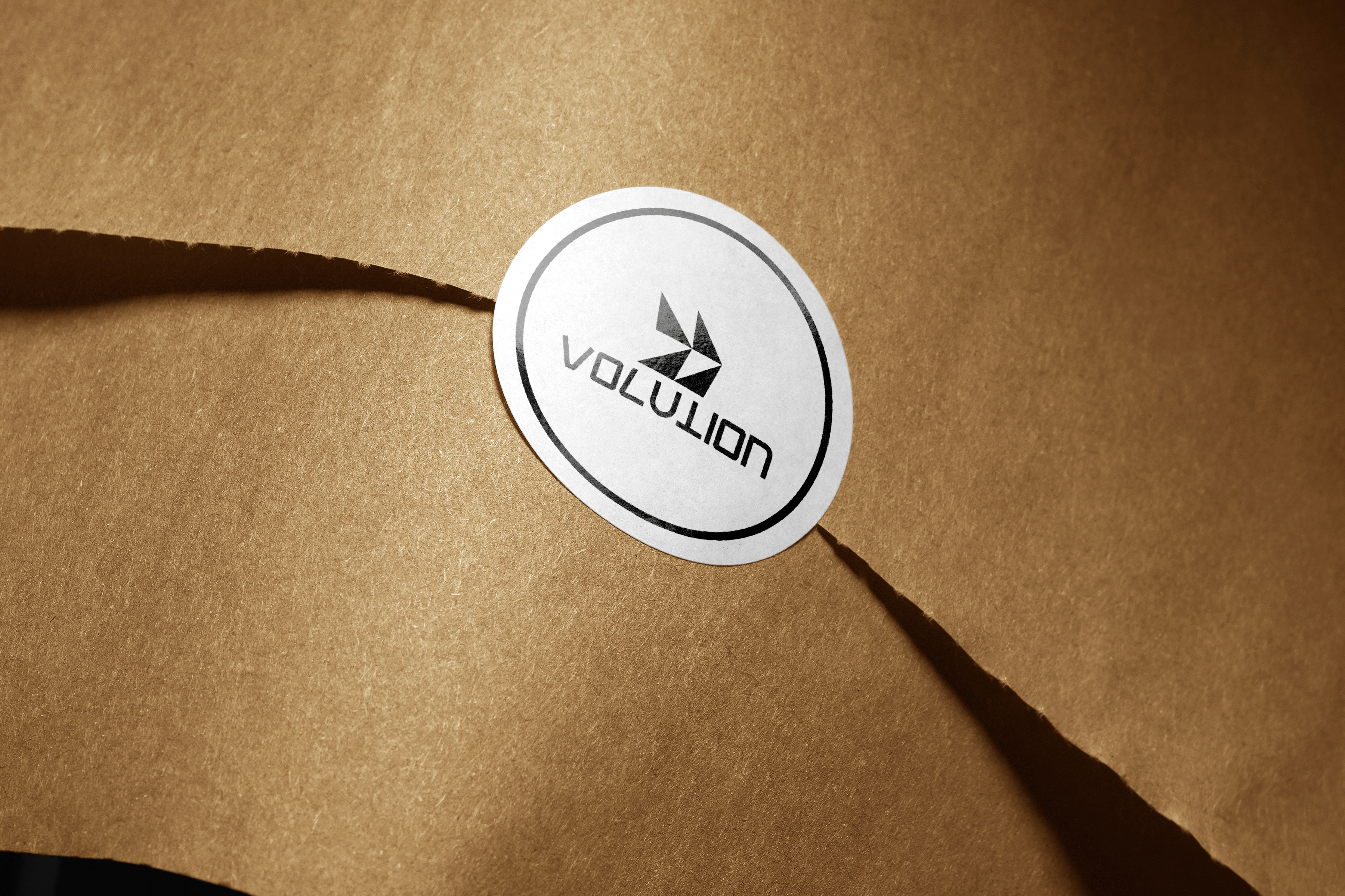 Volution Logo Design text logo