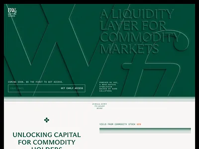 Bretton Woods: Landing Page bitcoin branding crypto dapp defi design ethereum finance fintech old money rwa token ui web3 website website design