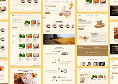 Refined Design for Refined Grains design illustration ui ux
