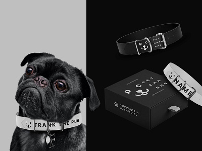 PetCharms® accesories branding design logo packaging pets photography