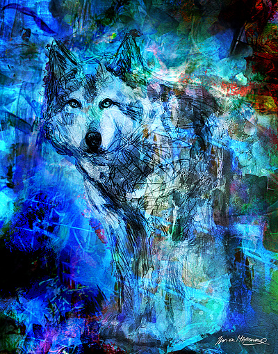 Loup dans le noir