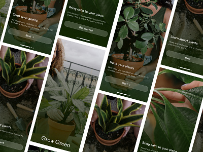 Onboarding 100 days challenge app dailyui day 023 design green grow illustration mobile application new onboarding plants typography ui ux