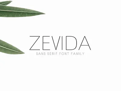 Zevida Sans Serif Font Family bold font branding font cool font display font elegant font header holiday card light font minimal font minimalist font modern font pretty font sans serif typeface vintage font wedding font zevida sans serif font family