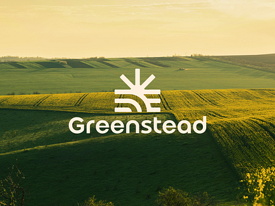Greenstead Branding agriculture artocea brand concept brand direction brand identity brand system branding creative design dentity design design studio logo design logo exploration minimal design modern logo nature packaging design product branding sustainable design visual branding visual identity