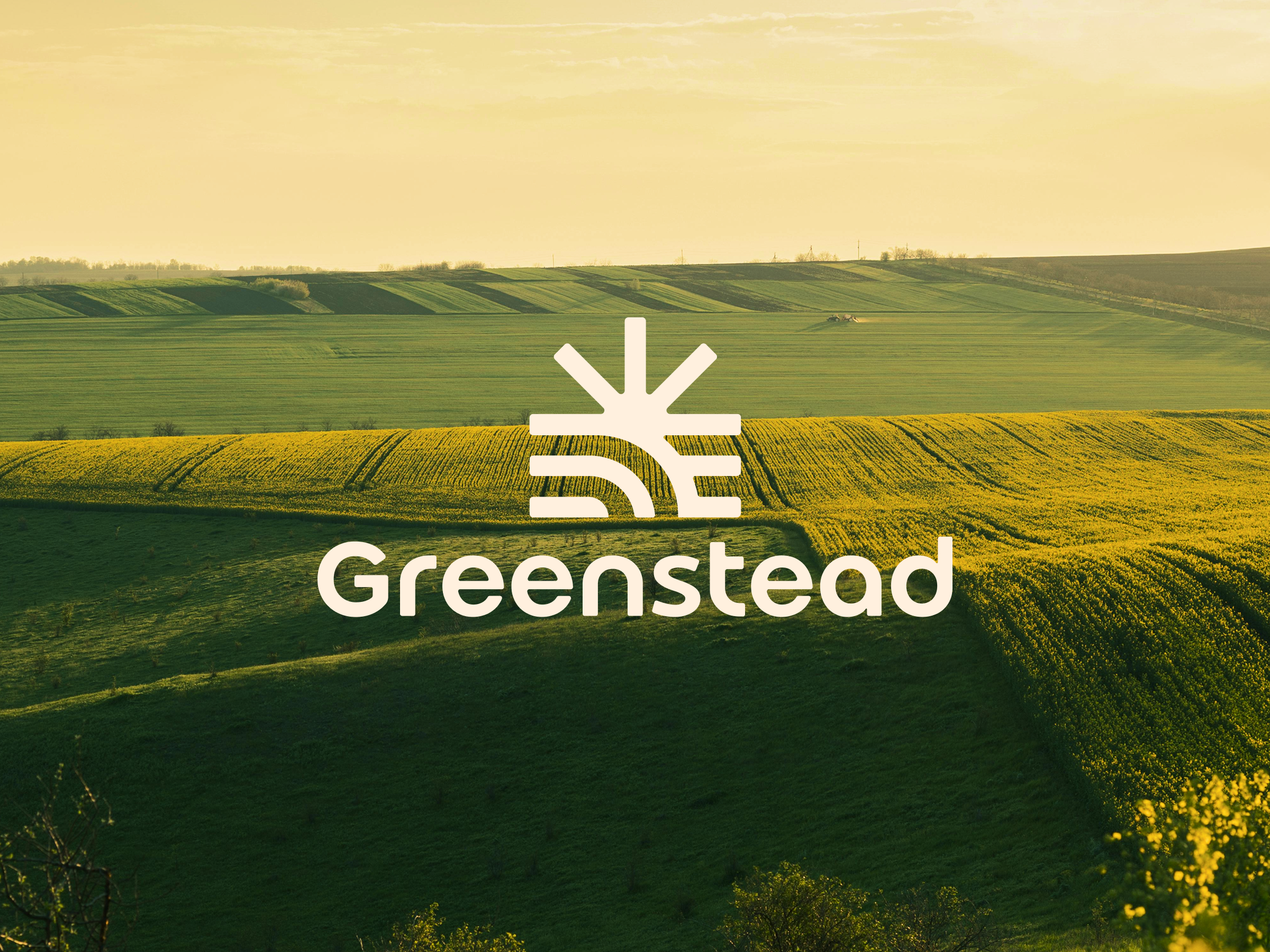 Example of Professional Logo Design