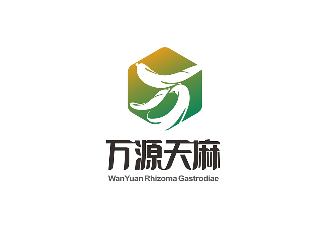 Logo design-Rhizome Gastrodiae branding graphic design illustration logo