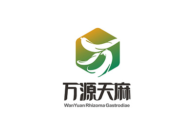 Logo design-Rhizome Gastrodiae branding graphic design illustration logo