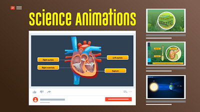Science Animations science animations