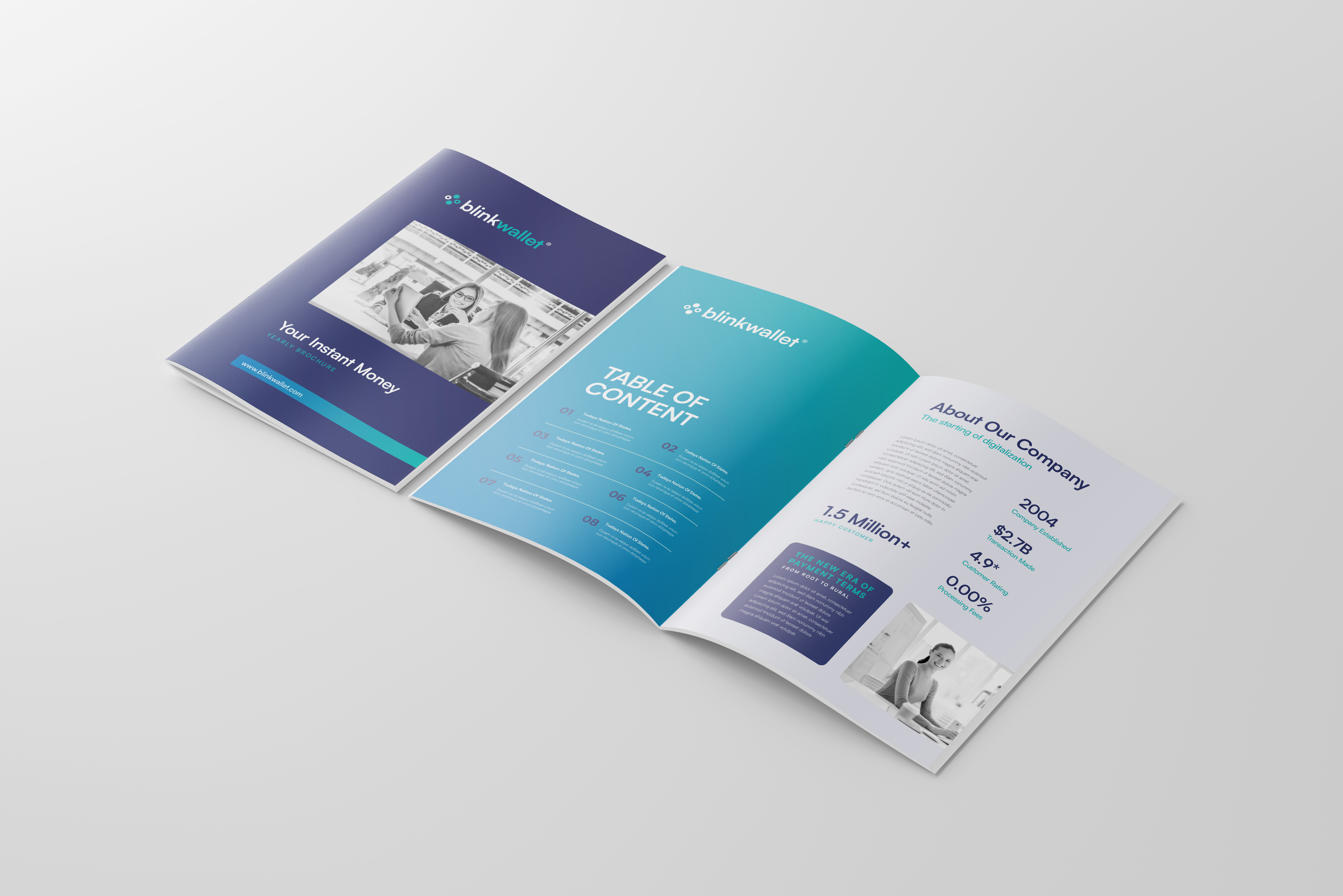 Example of Company Profile & Brochure Design
