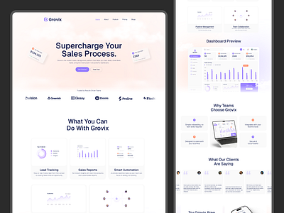 Grovix - Sales management SaaS Website animation design finance website landing page saas product sales management sales management dashboard sales management saas website ui ux web design webpage website