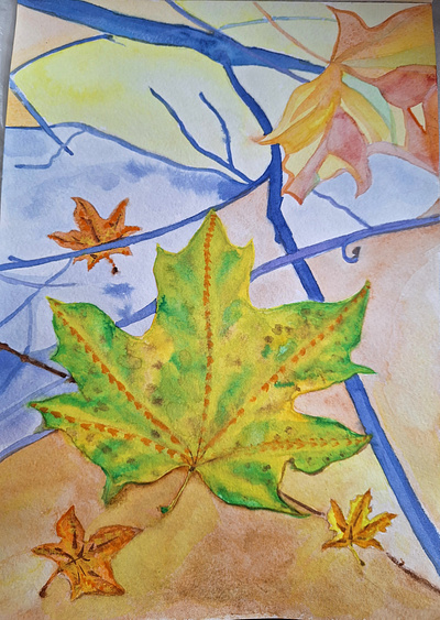 Maple leaf in the park autumn fall leaf maple season yellow