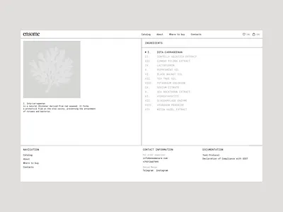 E-commerce website for eco-brand | About page Animation branding design e commerce graphic design illustration logo online shop ui ux web design