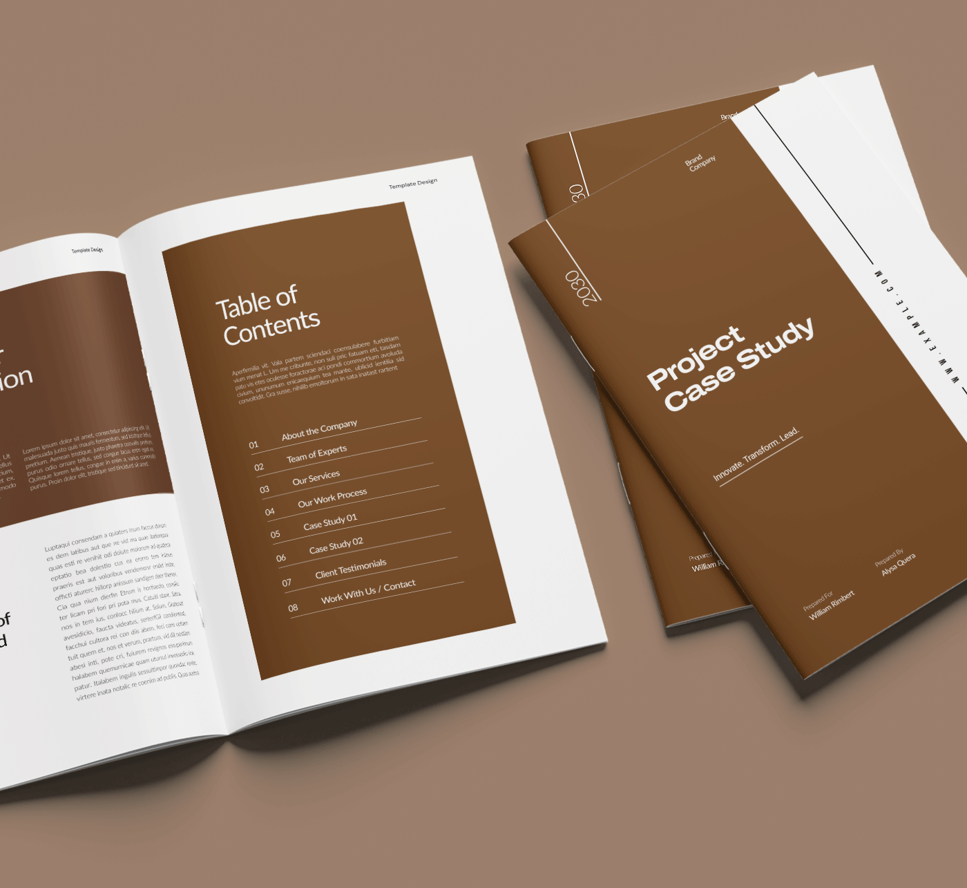 Case Study Brochure Template Design branding brochure business case creative design illustration layout study template