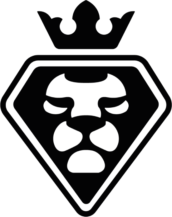 Логотип футбольной команды. graphic design logo